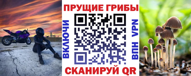 Псилоцибиновые грибы Psilocybe  Богородск 