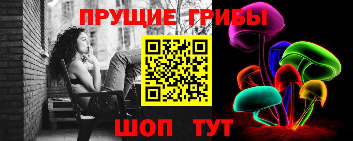 Богородск  Галлюциногенные грибы MAGIC MUSHROOMS  Вход с VPN 